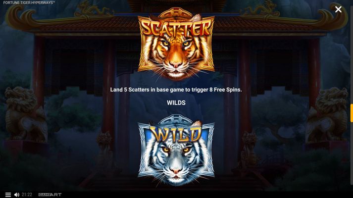 Wild and Scatter Rules