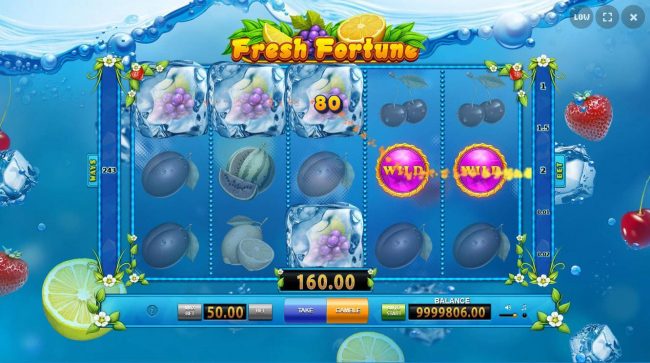 Multiple winning combinations  triggers a 160.00 jackpot win.