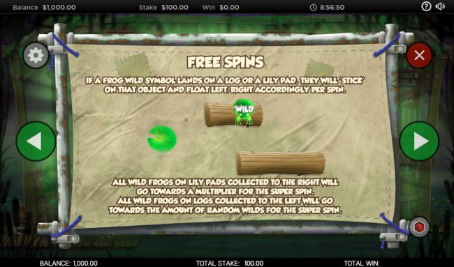 Free Spins Rules