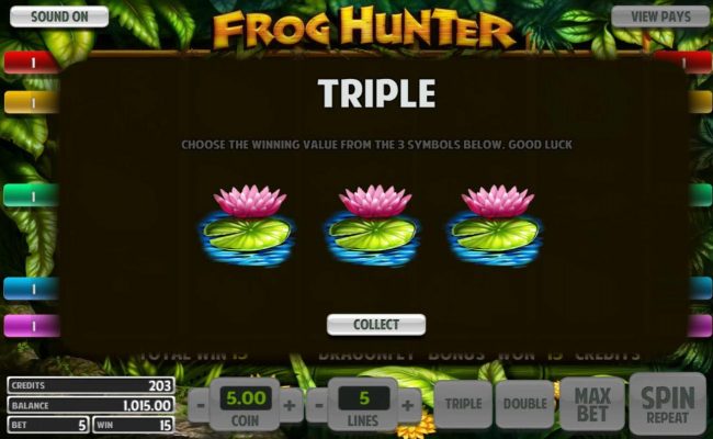 Triple Up Gamble Feature Screen