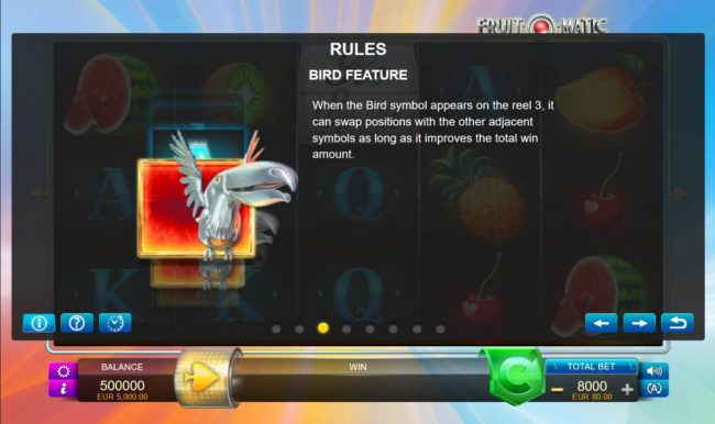 Bird Feature Rules
