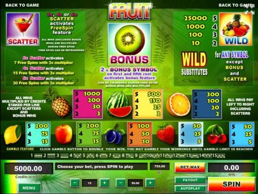 Slot game symbols paytable featuring fruit themed icons.