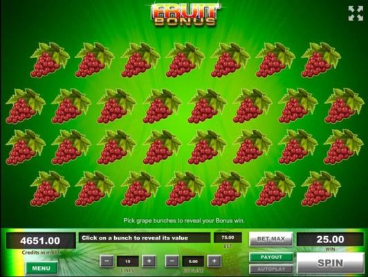 Fruit Bouns Game Board - Select bunches of grapes to reveal your bonus win.