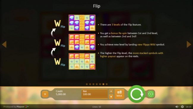 Flip Feature Rules - There are 3 levels of the Flip Feature.
