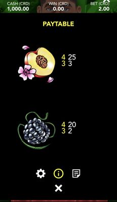 Low Value Symbols Paytable