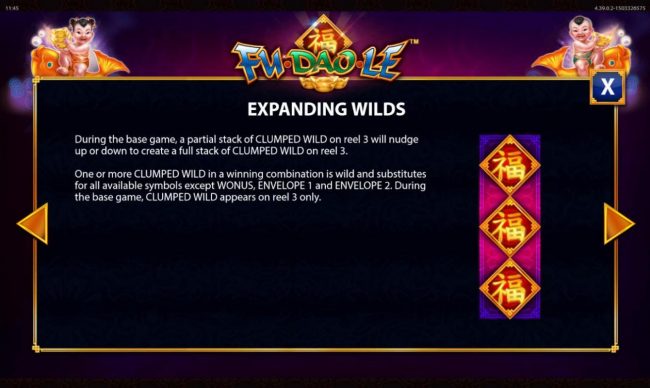 Expanding Wilds Rules