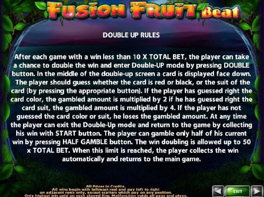 Double Up Gamble Feature Rules