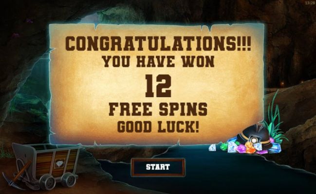 12 Free Spins Awarded