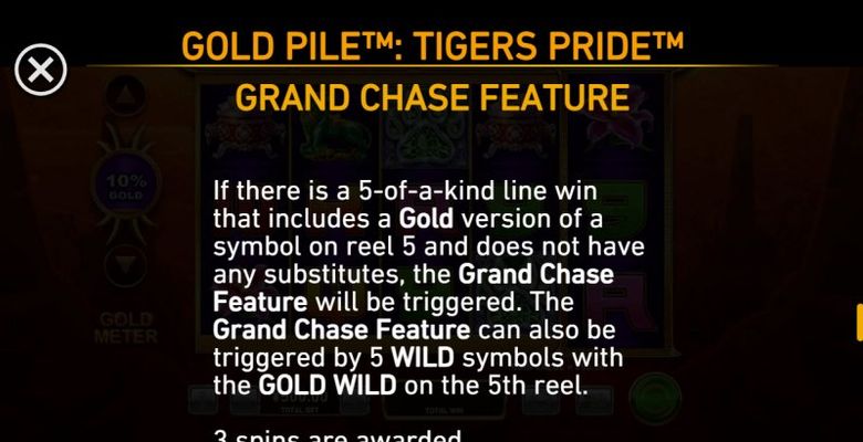 Grand Chase Feature
