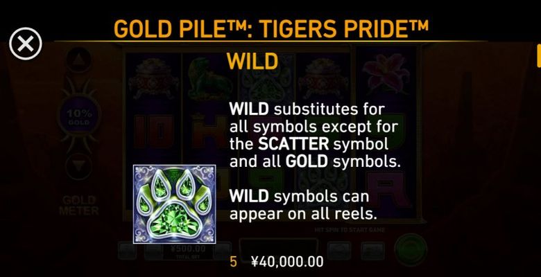 Wild Symbol Rules