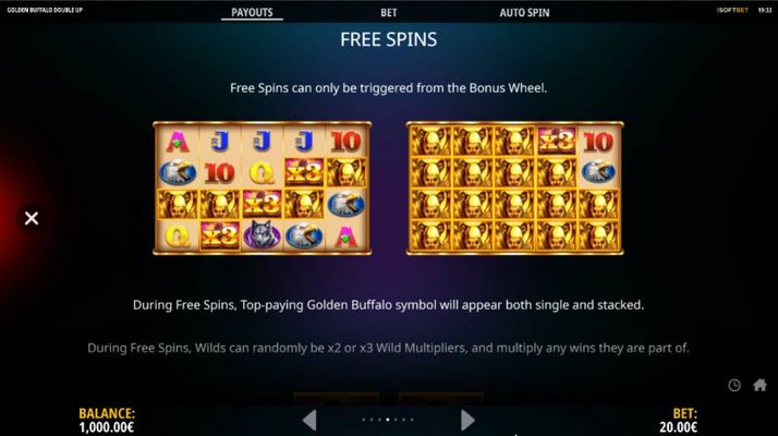 Free Spin Feature Rules