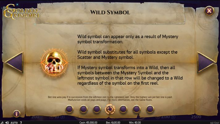 Wild Symbol Rules