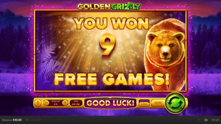 9 Free Spins Awarded