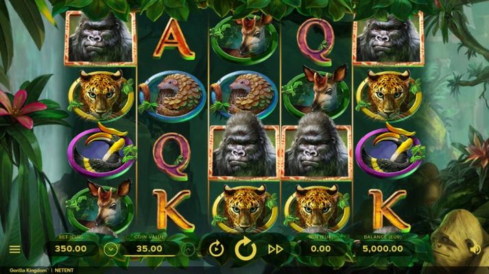 Play slots at Virgin: Virgin featuring the Video Slots Gorilla Kingdom with a maximum payout of $999,950
