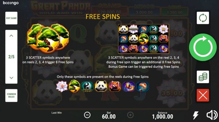 Great Panda Hold and Win :: Free Spin Feature Rules