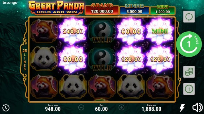 Great Panda Hold and Win :: Bonus game triggered