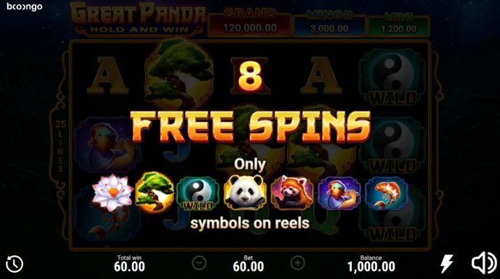 Great Panda Hold and Win :: 8 free spins awarded