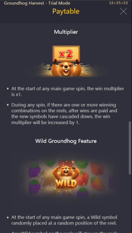 Multiplier Feature