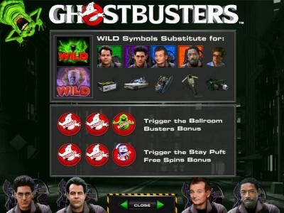 wild symbols substitute for....