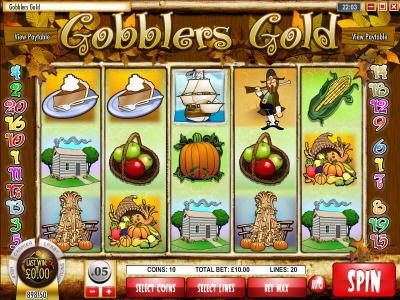 main game board featuring five reels and twenty paylines