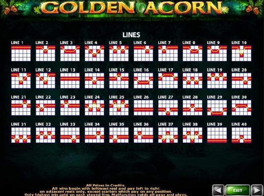 Payline Diagrams 1-40. All wins begin with the leftmost reel and pay left to right on adjacent reels only, except scatters which pay on any position.