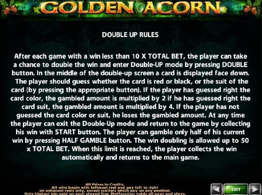 Double Up Gamble Feature Rules