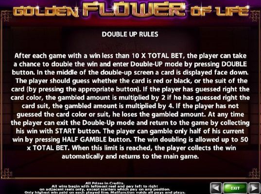 Double Up Gamble Feature Rules