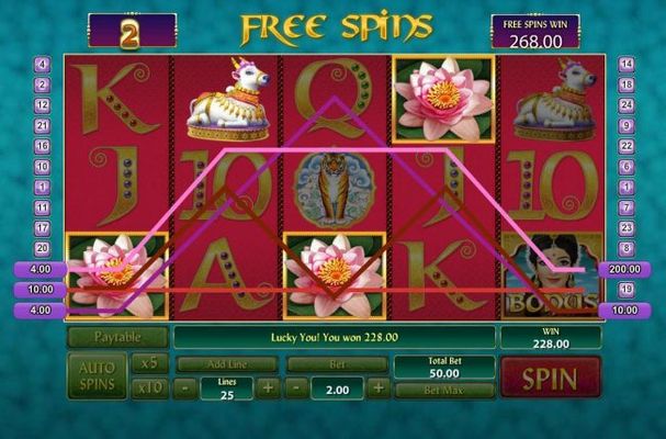 Multiple winning paylines triggers a big win during the free spins bonus feature!