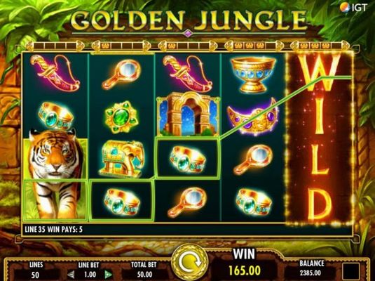 Multiple winning paylines triggers a 165.00 big win!