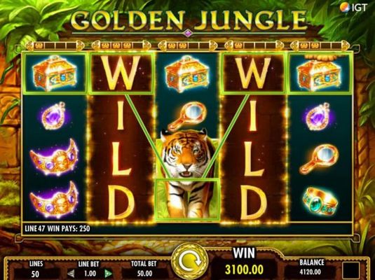 Stacked wilds trigger multiple winning combinations leading to a 3100.00 jackpot win.