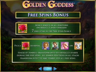 free spins bonus rules