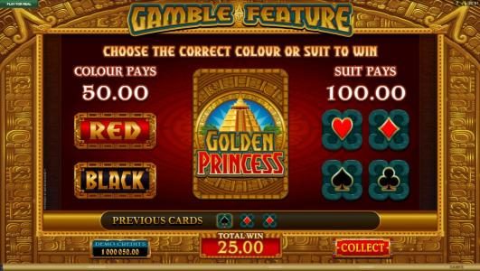 Gamble feature game board. Gamble feature is available after every winning spin.