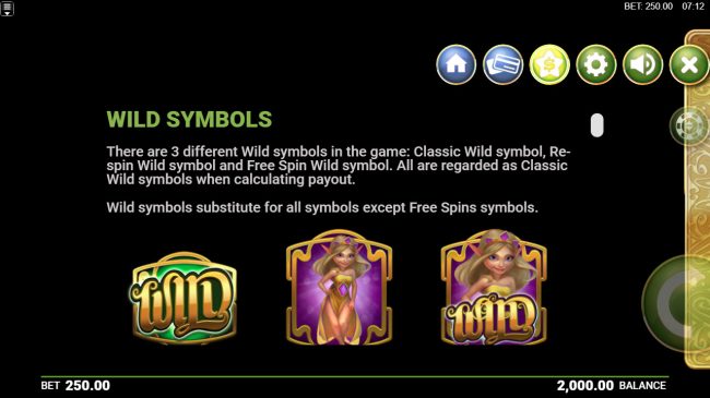 Wild Symbol Rules