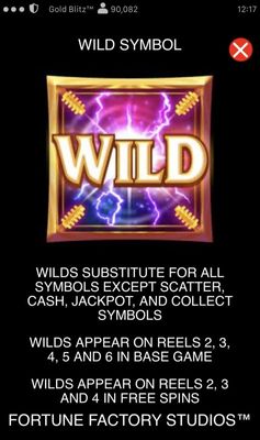 Wild Symbol