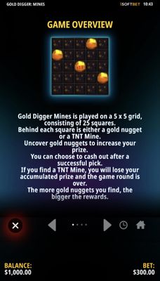 Game Overview