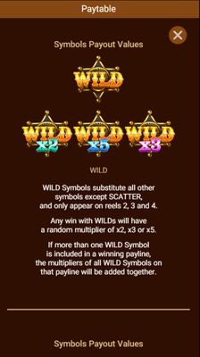 Wild Symbol