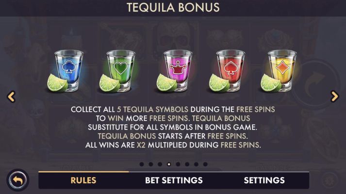 Bonus Feature