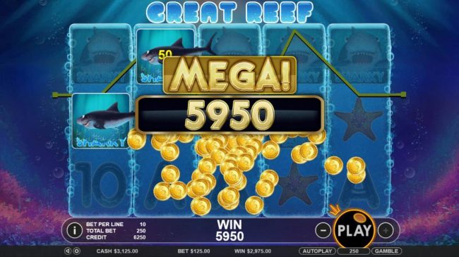 A 5950 coin mega win!