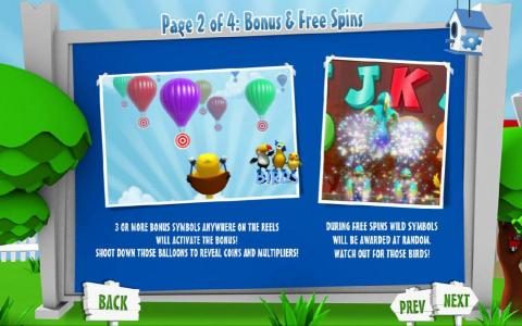 bonus and Free Spins rules
