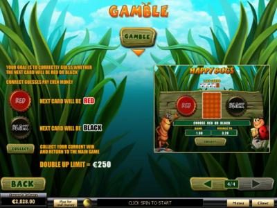 Gamble Feature Games Rules