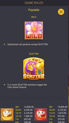 Wild and Scatter Rules