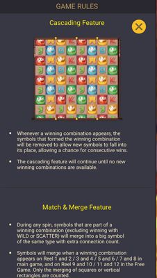 Feature Rules