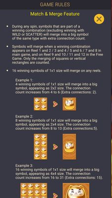 Feature Rules 2