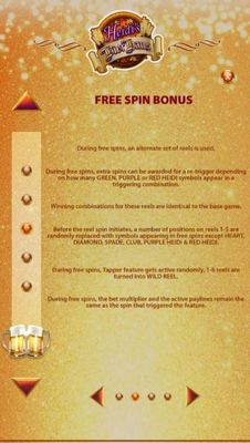 Free Spins Bonus Rules - Continued