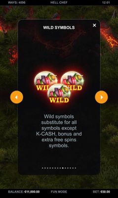 Wild Symbol