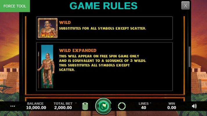 Wild Symbols Rules