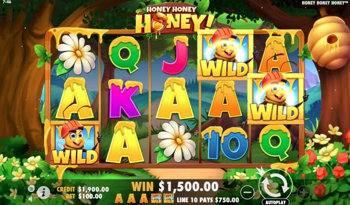 Multiple winning paylines