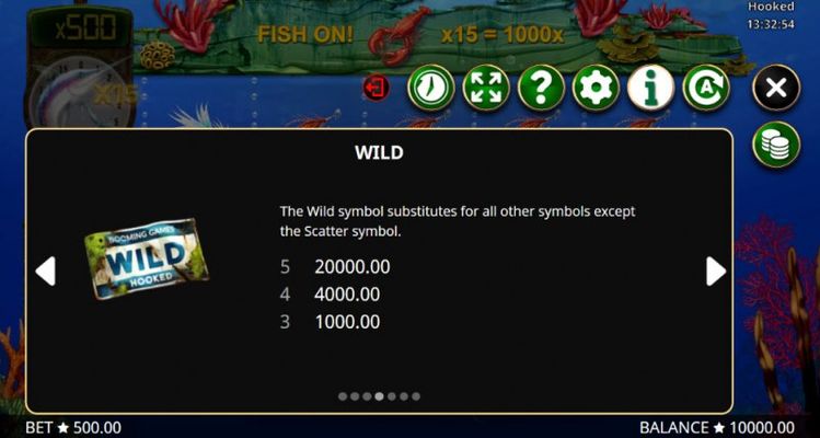 Wild Symbols Rules