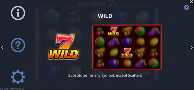 Wild Symbol Rules