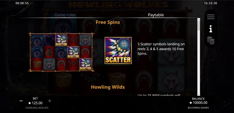 Free Spin Feature Rules